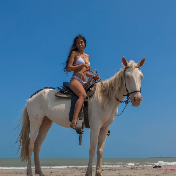 GALOPES DE MAR - Image 3