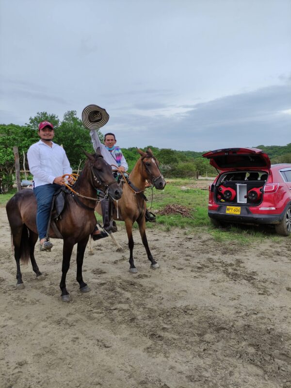 GALOPES DE MAR - Image 4
