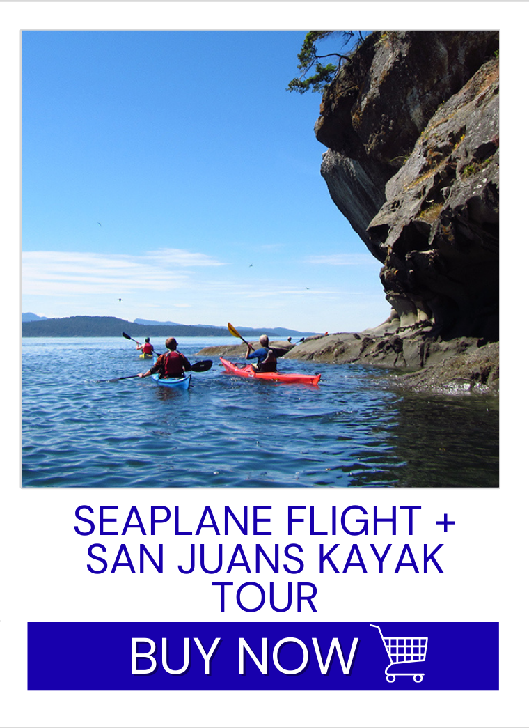 Seaplane Flight + San Juans Kayak Tour