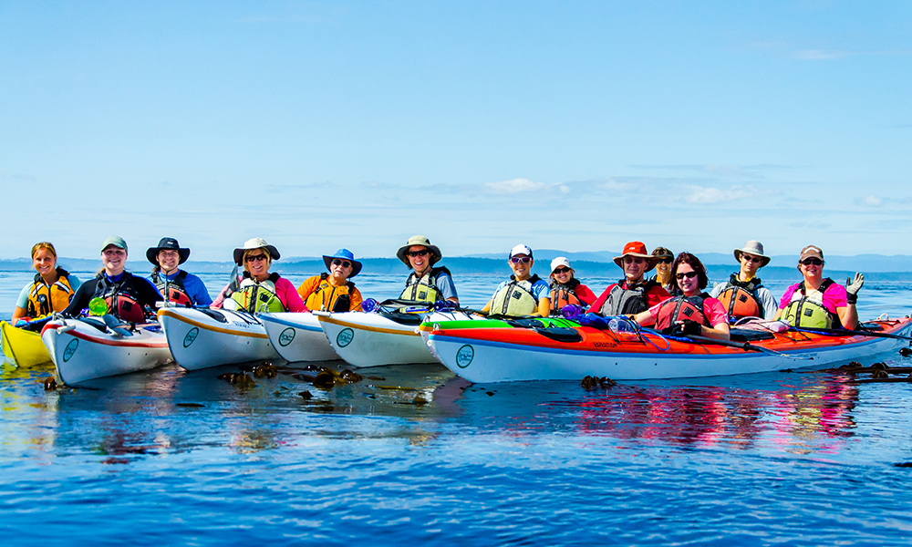 Seaplane Flight + San Juans Kayak Tour - Image 4