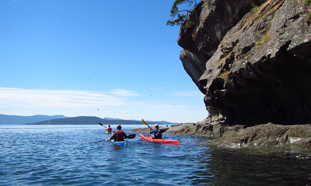 Seaplane Flight + San Juans Kayak Tour - Image 3