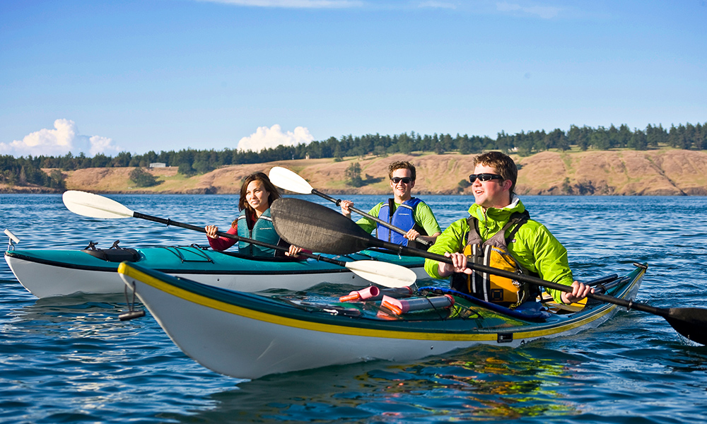 Seaplane Flight + San Juans Kayak Tour - Image 2