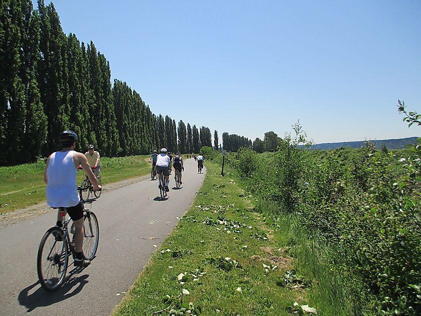 BICYCLE RENTAL – BOTHELL & KENMORE 🚲 - Image 4